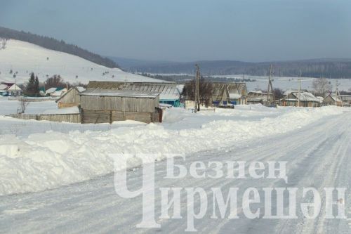 Шешминкада узган халык җыенында күперләрне ремонтлау кирәклеген дә әйттеләр