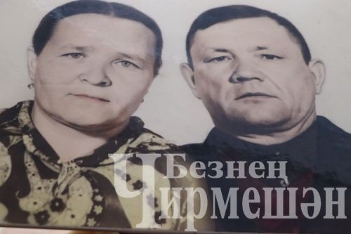 Югары Кәминкә, Яшәүче, Әмир әбиләре тормыштан канәгать