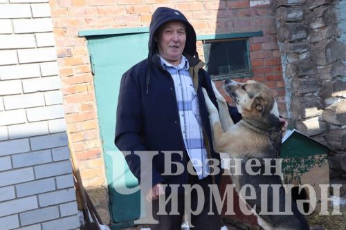Чирмешән районында өченче әби 100 яшькә җитте