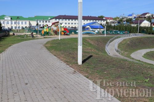 Чирмешәндәге күл өчен тавыш бирегез