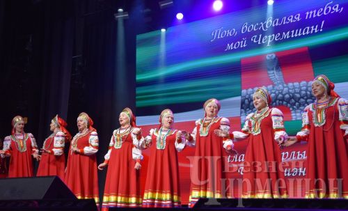 Казанда яшәүче чирмешәнлеләр кабат очрашу көнен билгеләделәр