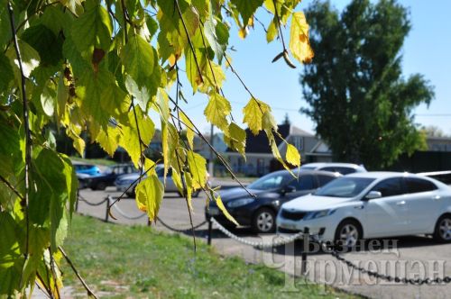 Синоптиклар 80 ел эчендәге иң эссе җәй көтелүен хәбәр иткән