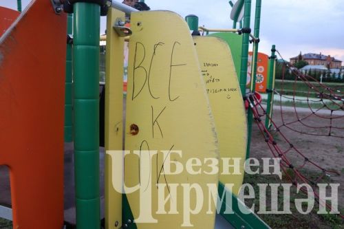 Это не красит нас: в Черемшане есть случаи вандализма