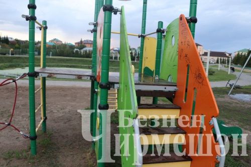 Это не красит нас: в Черемшане есть случаи вандализма