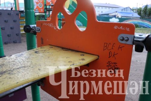 Это не красит нас: в Черемшане есть случаи вандализма