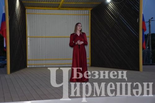 По случаю Дня России в Черемшане организовали большой концерт