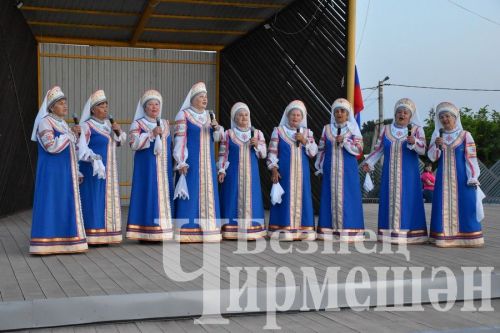 По случаю Дня России в Черемшане организовали большой концерт