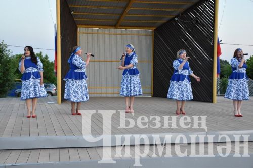 По случаю Дня России в Черемшане организовали большой концерт
