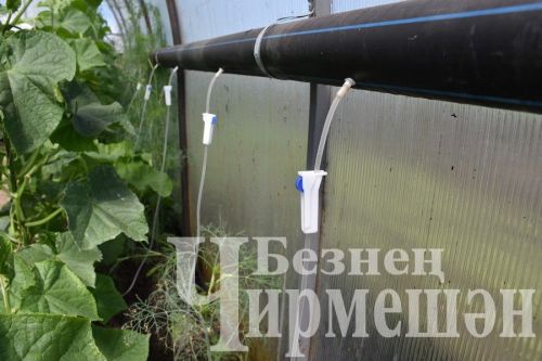 Азат Могыйнов үз хуҗалыгындагы күп эшләрне техникага “йөкләгән”