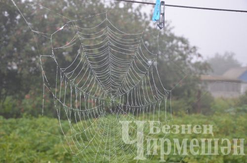 Татарстанда яңгырлар, яшен һәм боз көтелә