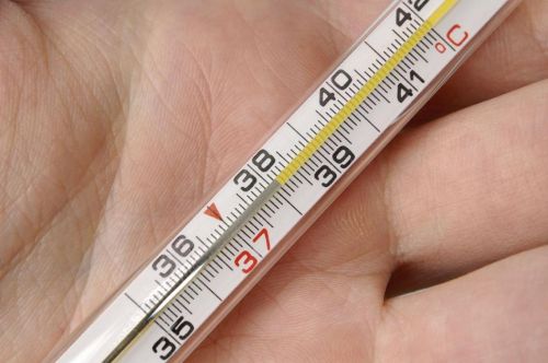 Норовирус котыра: мәктәп һәм шифаханәләрдә авырыйлар