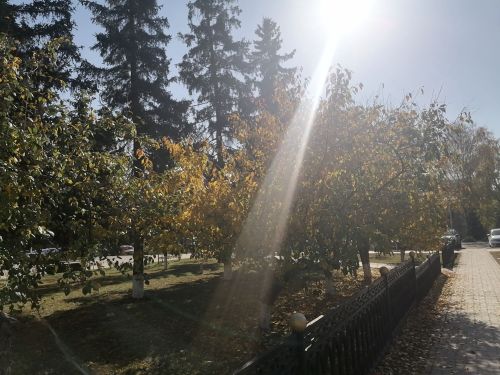 Приметы погоды 21 октября 2025 года