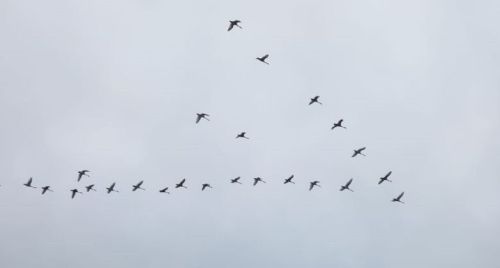 10 ноябрьгә һава торышы
