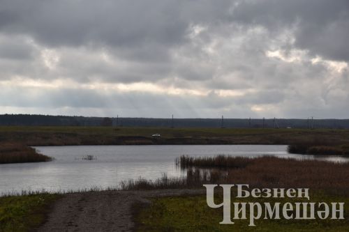 24 ноябрьгә һава торышы