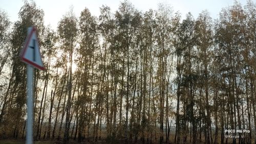 1 декабрьгә һава торышы