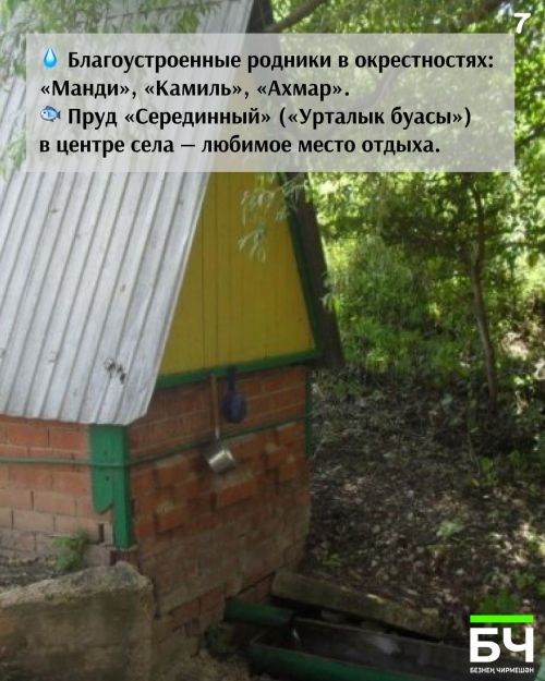 Подлесный Утямыш: история татарского села в фактах (карточки)