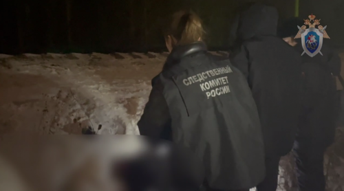 Татарстанда абыйлы-сеңелле ике бала поезд астында калып һәлак булган