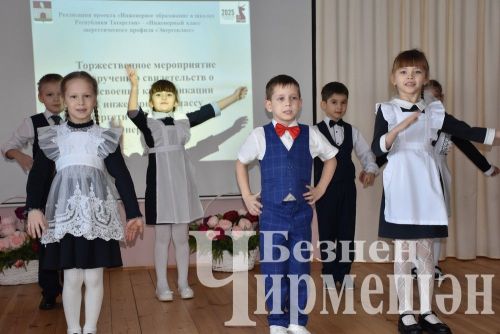 Чирмешәндә кызлар да электрчы һөнәренә кызыга