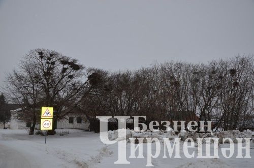 Татарстанда иртән -9 градуска кадәр салкын булачак