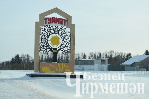 Туймәтлеләр сөт сатып акча эшли