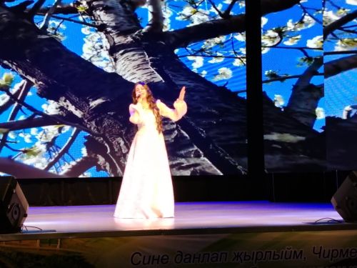 Для женщин Черемшанского района пели и казанские артисты