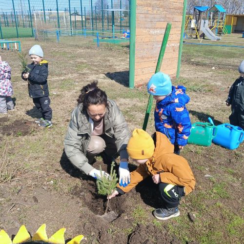 Күтәмәлеләр 50 төп чыршы утыртты