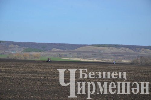 Чирмешән районы хуҗалыкларында кырларның 54 процент өлешендә дым каплатканнар