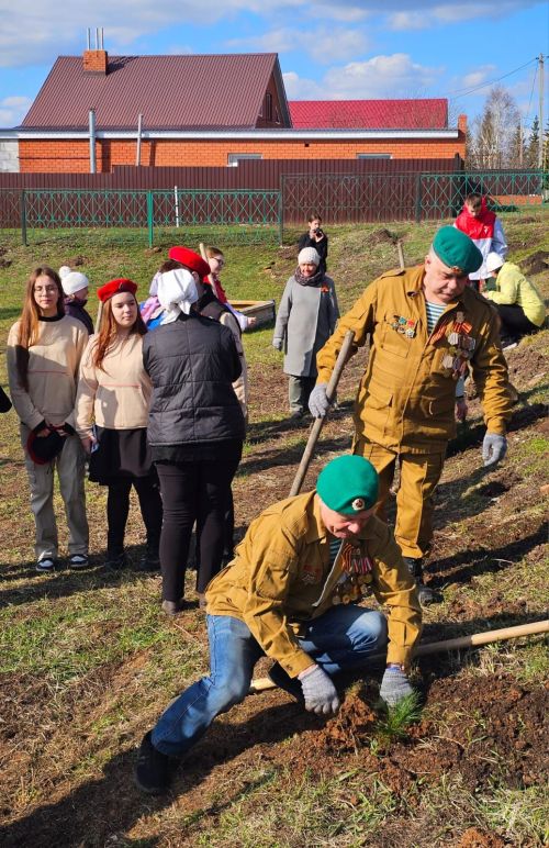 Чирмешәннең үзәк китапханәсе янында 80 төп куак, агачлар утырттылар