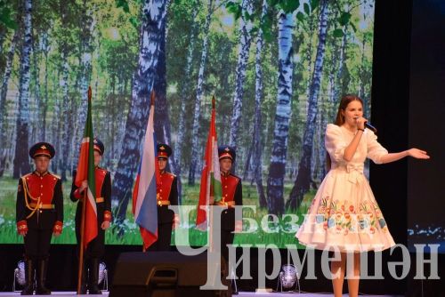 Чирмешән районы “никрутларына” бәйрәм оештырдылар