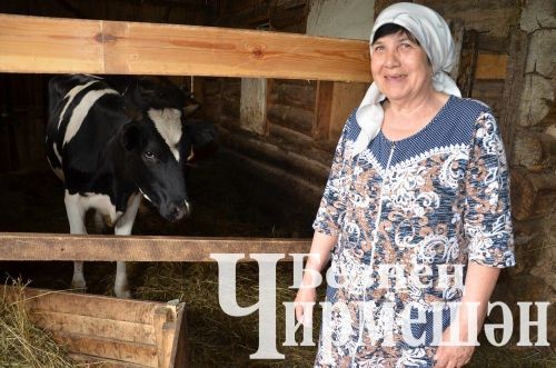 Утыз Имән авылына шәһәрдән күчеп кайткан Дәүләтгәрәевлар “сөт бизнесы” ачкан
