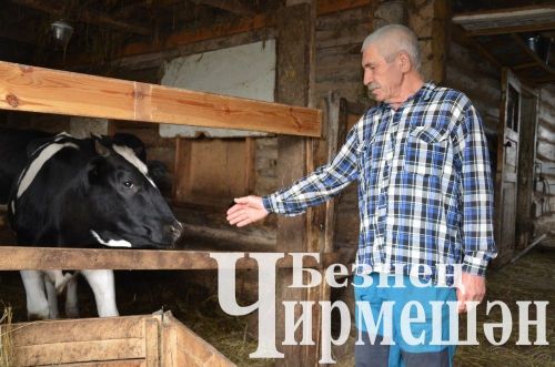 Утыз Имән авылына шәһәрдән күчеп кайткан Дәүләтгәрәевлар “сөт бизнесы” ачкан