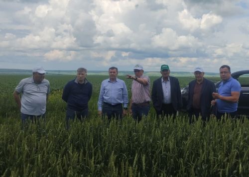 Министр Марат Җаббаров чирмешәнлеләр эшен уңай бәяләде
