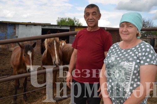 Түбән Кәминкәдән Ибраһимовларда абзарлары буш тормый