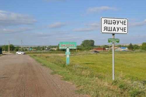 Яшәүчедә яңгыр бодайларны еккан