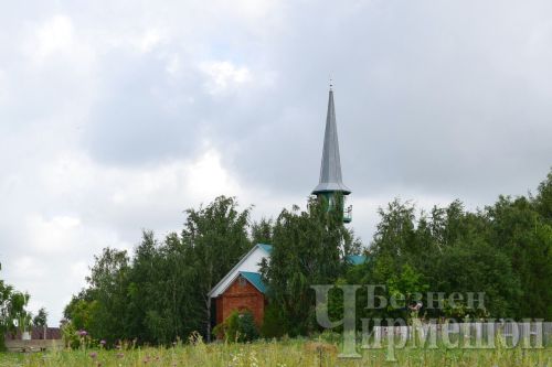 Югары Кәминкә егетләре хәрби бурычларын үти