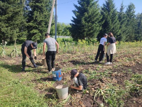 Фрукты и овощи, выращенные в саду Ивашкинской школы остаются и на продажу