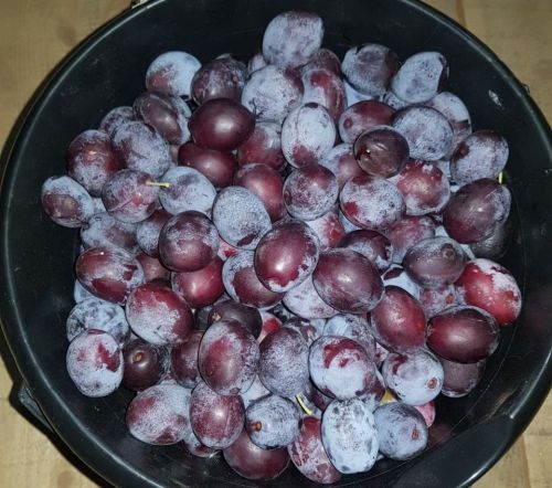 Сливадан тәмле конфитюр рецепты