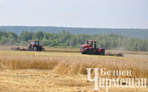 5 августка һава торышы