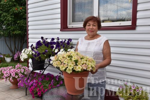 Чирмешәндә яшәүче Гариповлар бакчасында 75 сорт помидор үсә
