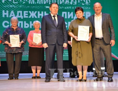 Фестиваль добрососедства «Наш двор» собрал черемшанцев
