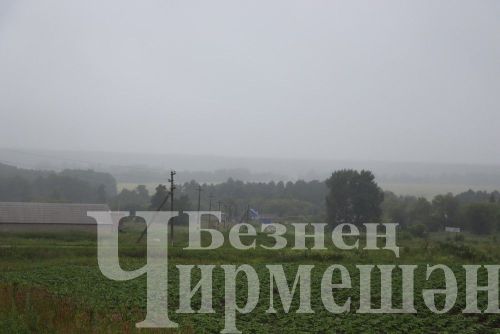 Татарстанда һава температурасы +5 градуска кадәр төшәчәк