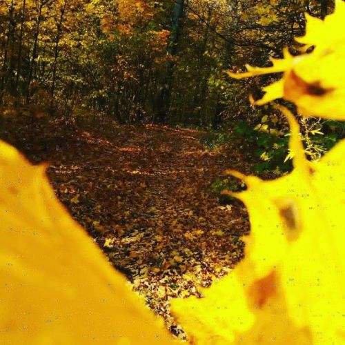 25 сентябрьгә һава торышы