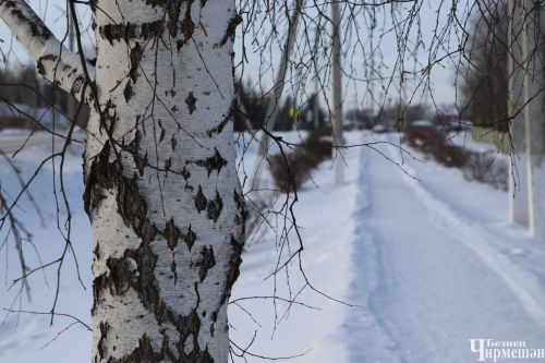 19 гыйнварга һава торышы