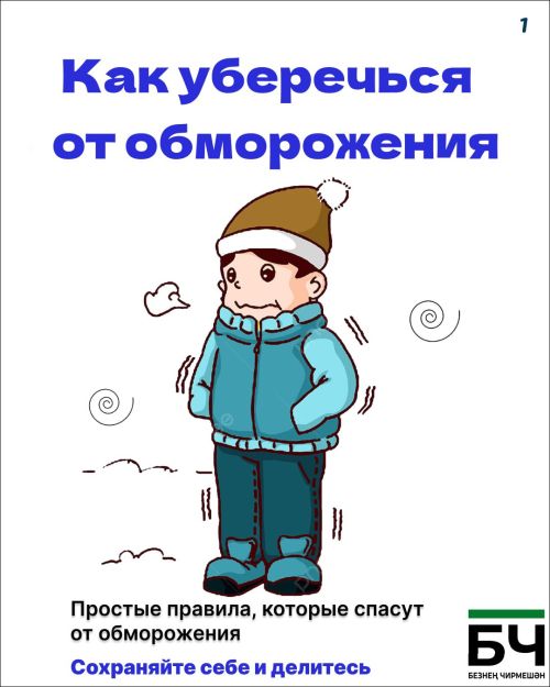 Тот самый случай, когда «капуста» — это не про еду, а про вашу зимнюю безопасность (карточки)