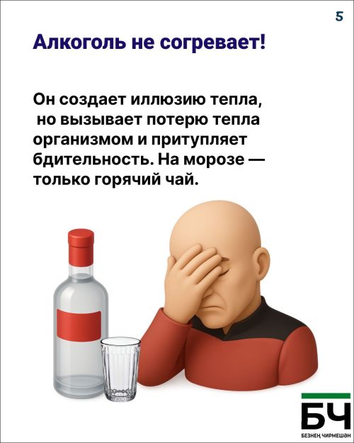 Тот самый случай, когда «капуста» — это не про еду, а про вашу зимнюю безопасность (карточки)