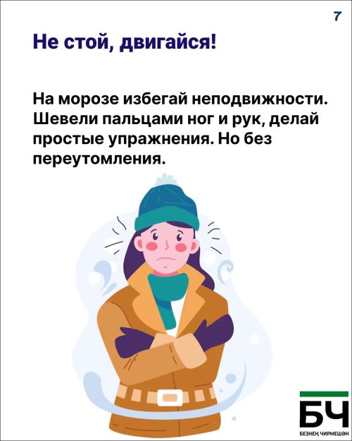 Тот самый случай, когда «капуста» — это не про еду, а про вашу зимнюю безопасность (карточки)