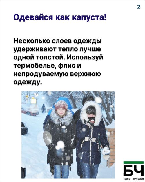 Тот самый случай, когда «капуста» — это не про еду, а про вашу зимнюю безопасность (карточки)