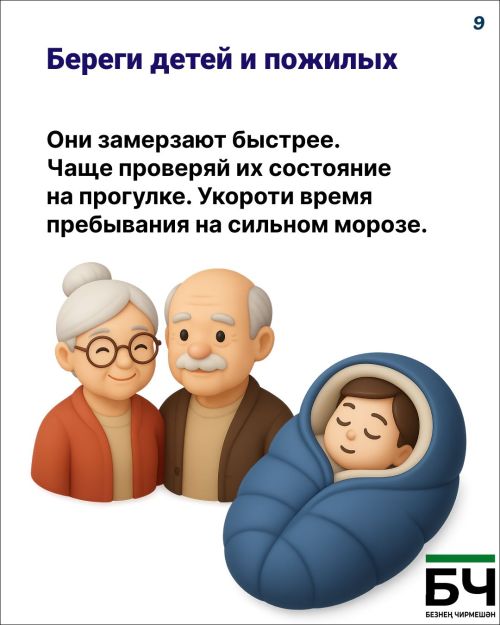 Тот самый случай, когда «капуста» — это не про еду, а про вашу зимнюю безопасность (карточки)