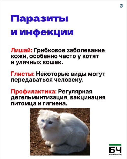 Опасность — понятие относительное (карточки)
