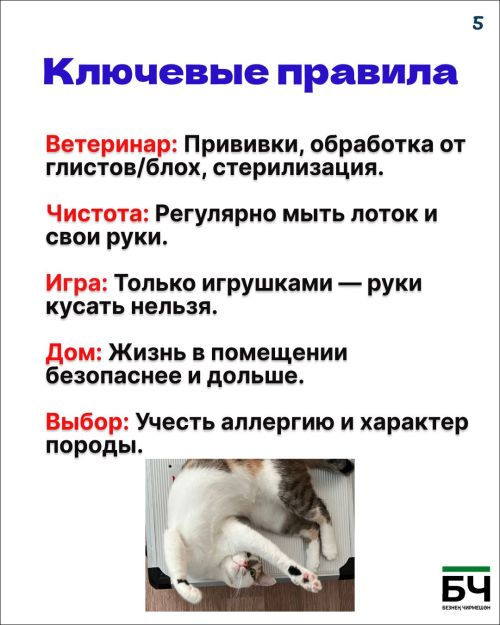 Опасность — понятие относительное (карточки)